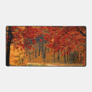 autumn in the forest desk mat