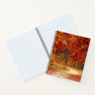 autumn in the forest notebook