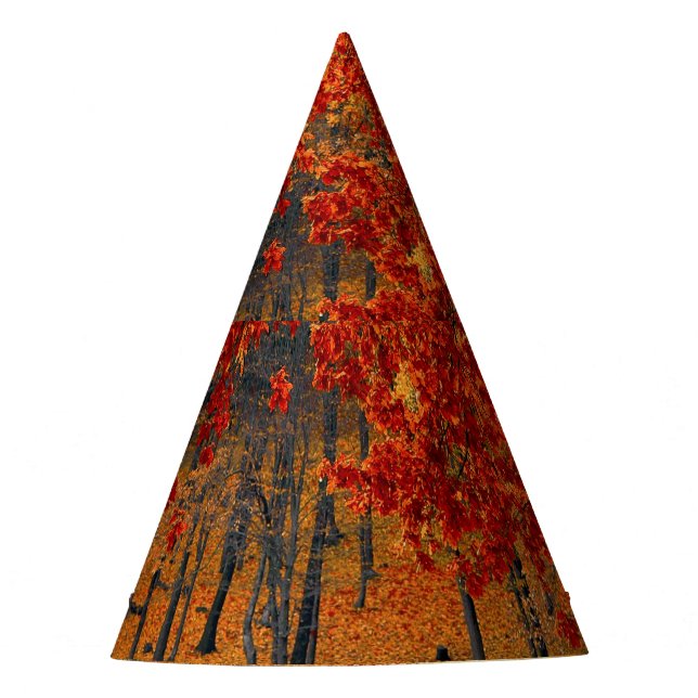 autumn in the forest party hat (Front)