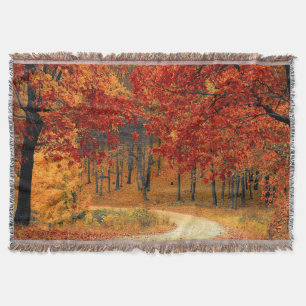 autumn in the forest throw blanket