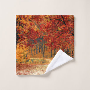 autumn in the forest wash cloth