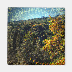 Autumn in the mountains.... magnet