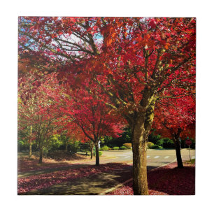 Autumn in the Neighbourhood, Oregon Tile