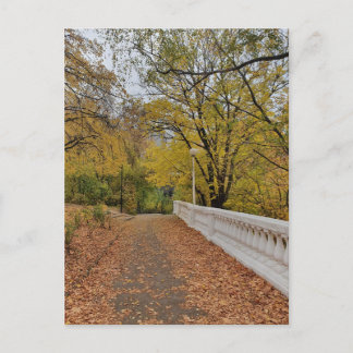 Autumn in the old park. Postcard