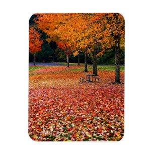 Autumn in the Park Magnet