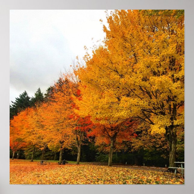 Autumn in the Park, Oregon Poster (Front)