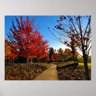 Autumn in the Park, Oregon Poster