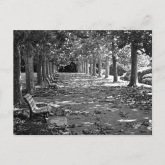 Autumn in the Park: Tokyo Postcard