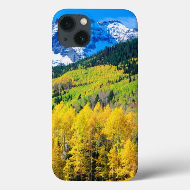 Autumn in the Rockies Case-Mate iPhone Case (Back)