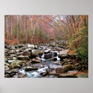 Autumn in the Smokies Poster