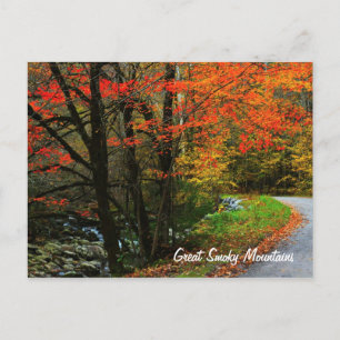 Autumn in Tremont - Great Smoky Mountains Postcard