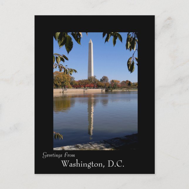 Autumn in Washington DC Postcard (Front)