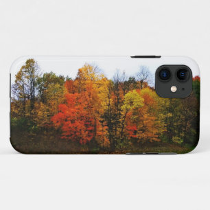 Autumn in West Bend, Wisconsin iPhone 11 Case