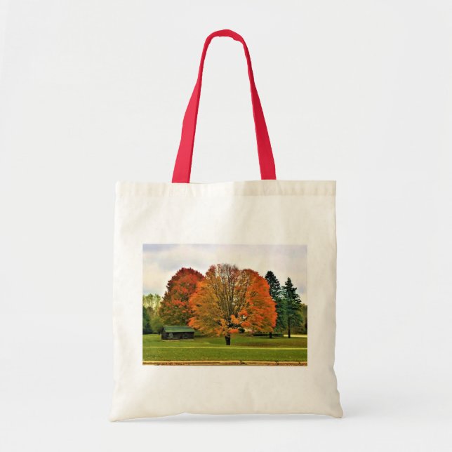 Autumn in West Bend, Wisconsin Tote Bag (Front)