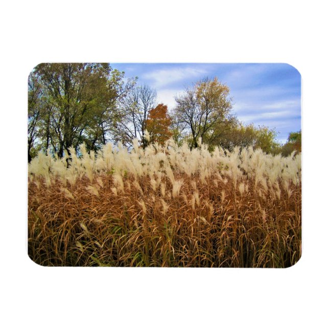 Autumn in Wisconsin Magnet (Horizontal)