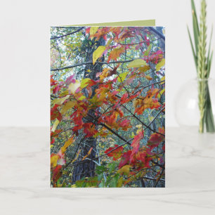 Autumn Incarnate Card