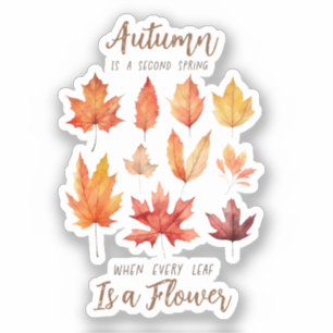 Autumn is a Second Spring – Fall Leaves
