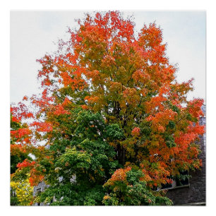 AUTUMN IS GOD PAINTING  poster