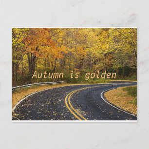 Autumn is golden postcard