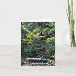 Autumn is here....... card