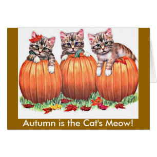 Autumn is the Cat's Meow Card