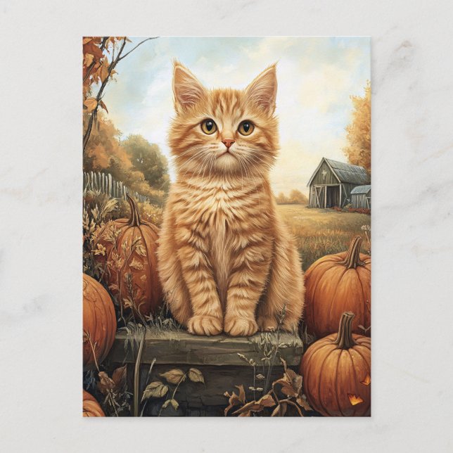 Autumn Kitten with Pumpkins Postcard (Front)