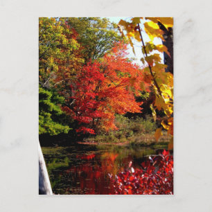 Autumn Lake 4 Postcard