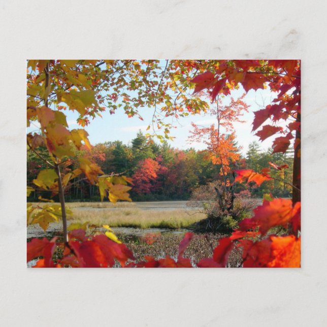 Autumn Lake Framed Postcard (Front)