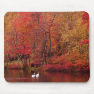 Autumn Lake Mouse Mat