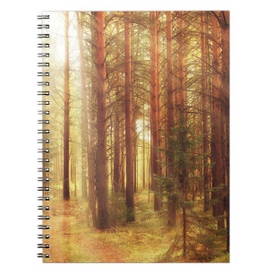 autumn landscape background, sun rays in the fores notebook