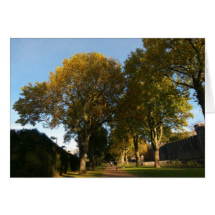 Autumn Landscape, Bute Park, Cardiff