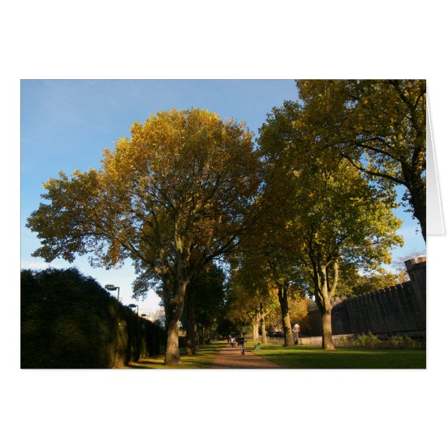 Autumn Landscape, Bute Park, Cardiff (Front Horizontal)