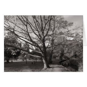 Autumn Landscape, Bute Park, Cardiff
