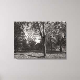 Autumn Landscape, Bute Park, Cardiff Canvas Print