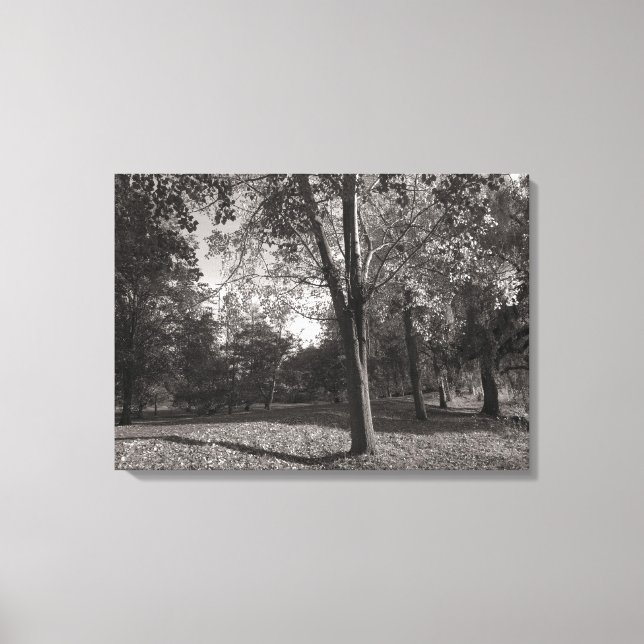 Autumn Landscape, Bute Park, Cardiff Canvas Print (Front)