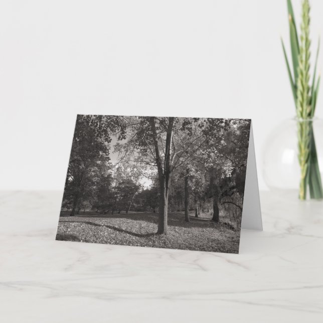 Autumn Landscape, Bute Park, Cardiff Card (Front)