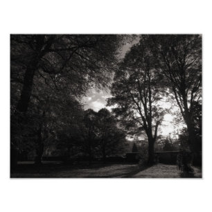 Autumn Landscape Bute Park Cardiff Photo Print