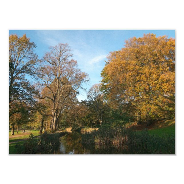 Autumn Landscape, Bute Park, Cardiff Photo Print (Front)