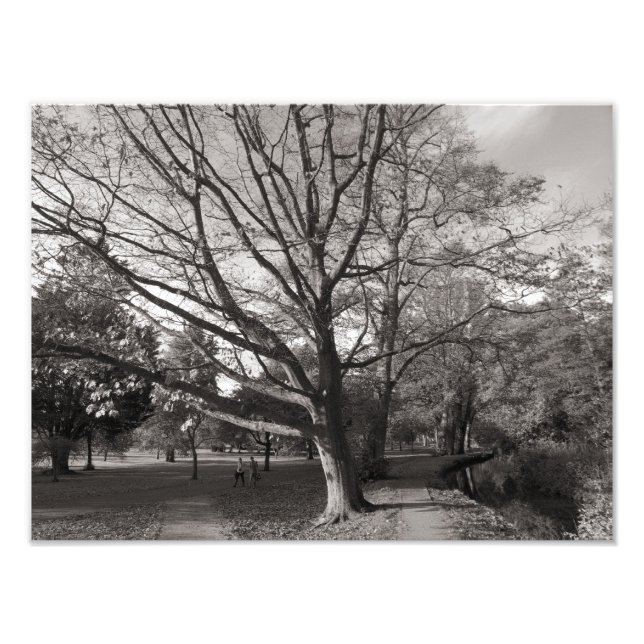 Autumn Landscape, Bute Park, Cardiff Photo Print (Front)