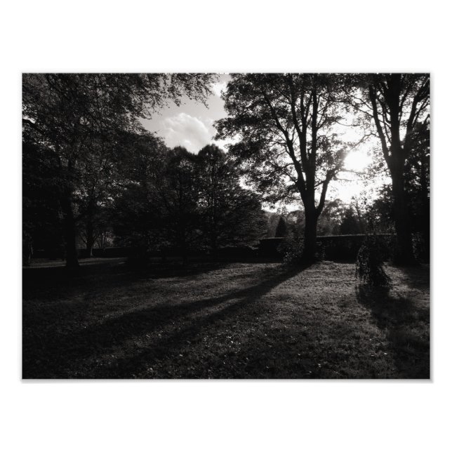 Autumn Landscape Bute Park Cardiff Photo Print (Front)