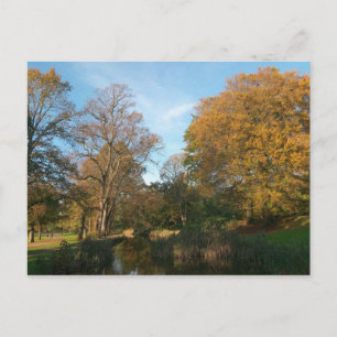 Autumn Landscape Bute Park Cardiff Postcard
