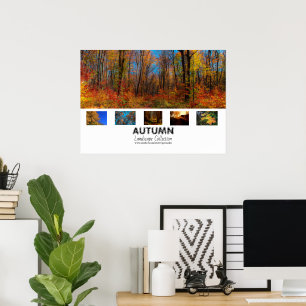 Autumn Landscape Collection Poster
