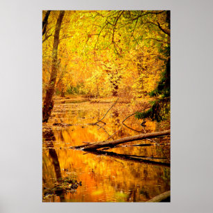 Autumn Landscape Forest Photo Nature Wall Poster