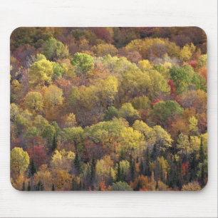 Autumn landscape, Vermont, USA 2 Mouse Mat