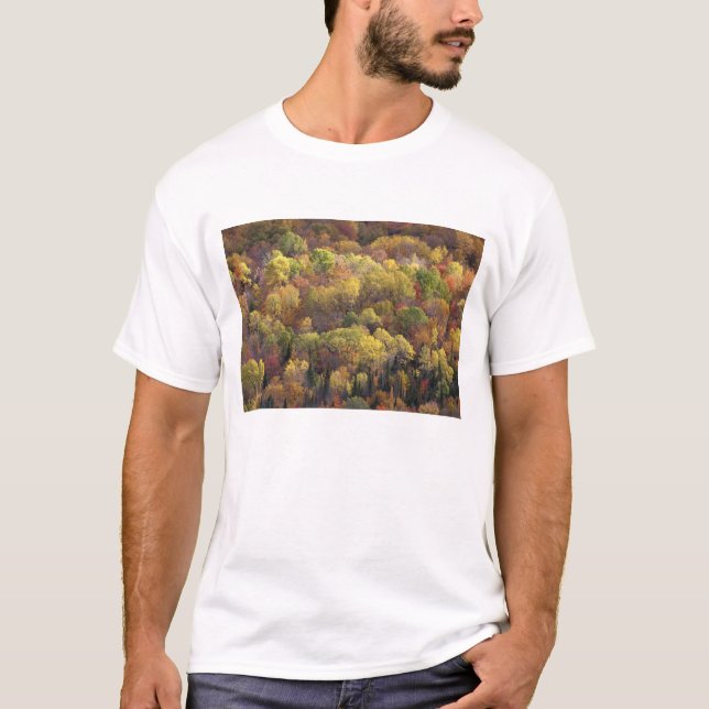 Autumn landscape, Vermont, USA 2 T-Shirt (Front)