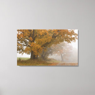 Autumn landscape, Vermont, USA 4 Canvas Print