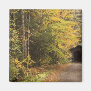 Autumn landscape, Vermont, USA 4 Magnet