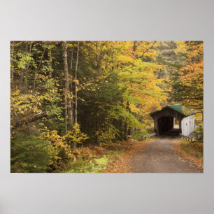 Autumn landscape, Vermont, USA 4 Poster