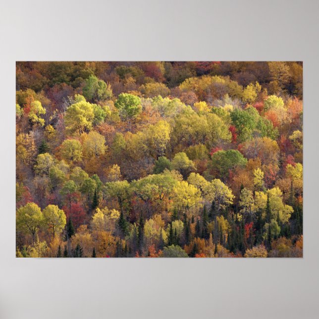 Autumn landscape, Vermont, USA Poster (Front)