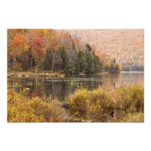 Autumn landscape with lake, Vermont, USA 2 Photo Print
